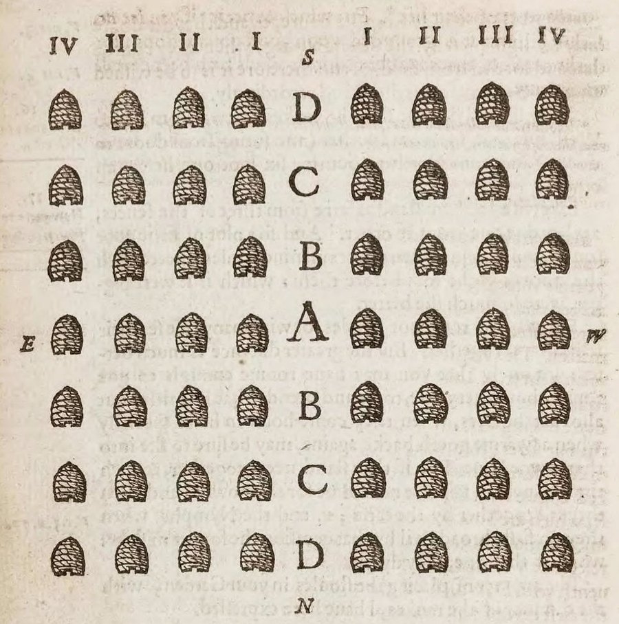 Xilografía del siglo XVII sobre la disposición de las colmenas, con abejas y estructuras apícolas.