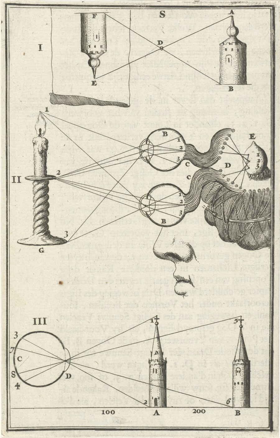 Grabado de 1682 con diagramas del ojo humano, líneas de visión y proyecciones ópticas.